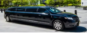 Professional Drivers at Limo Airport Milton